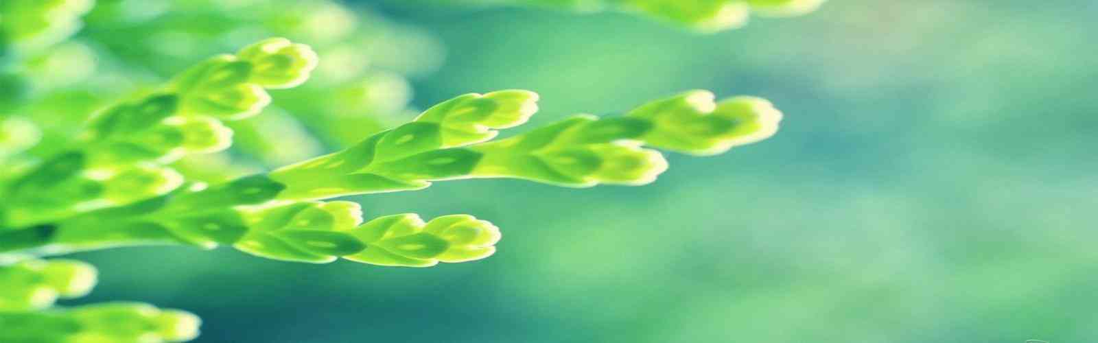 PG模拟器试玩入口